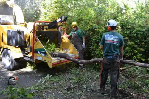 tree services Chino Hills